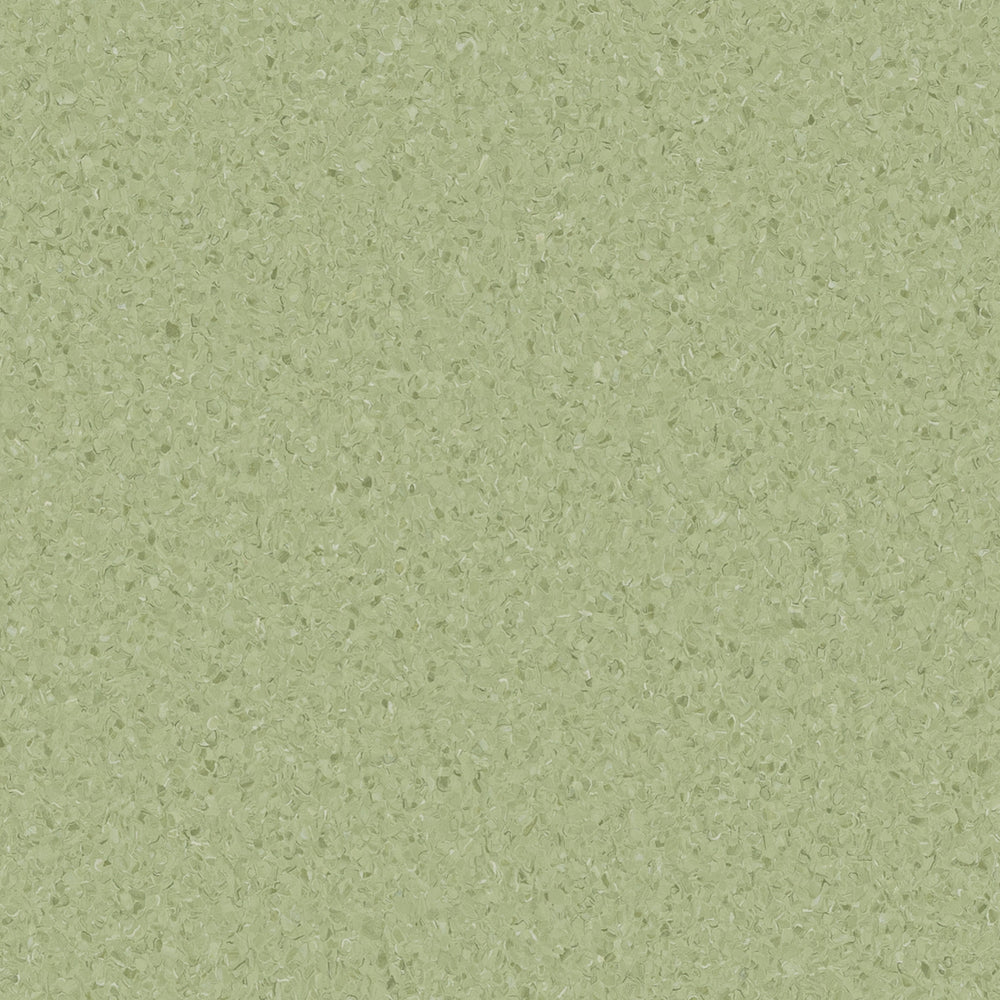 Accolade Plus | Casaurina