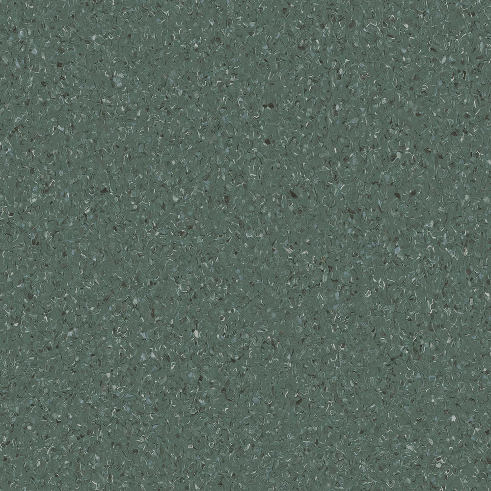 Accolade Plus | Moreton Fig