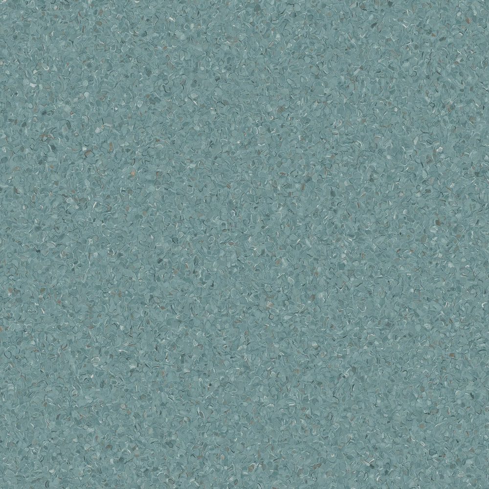 Accolade Plus | Torquay