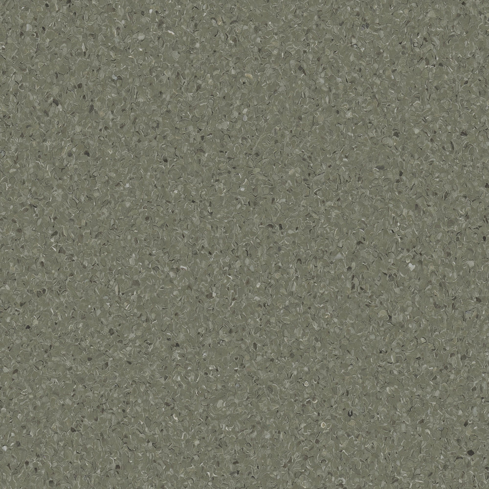 Accolade Plus | Mangrove