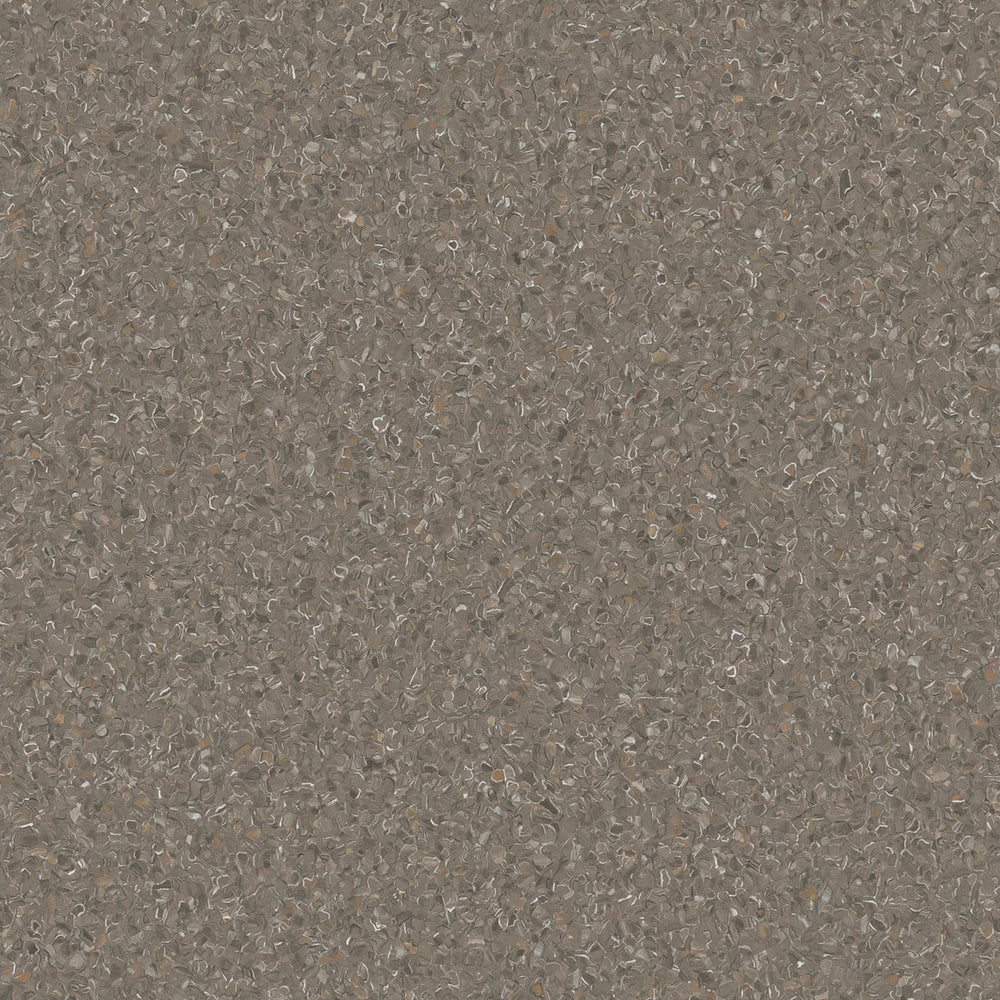 Accolade Plus | Snapper Rocks