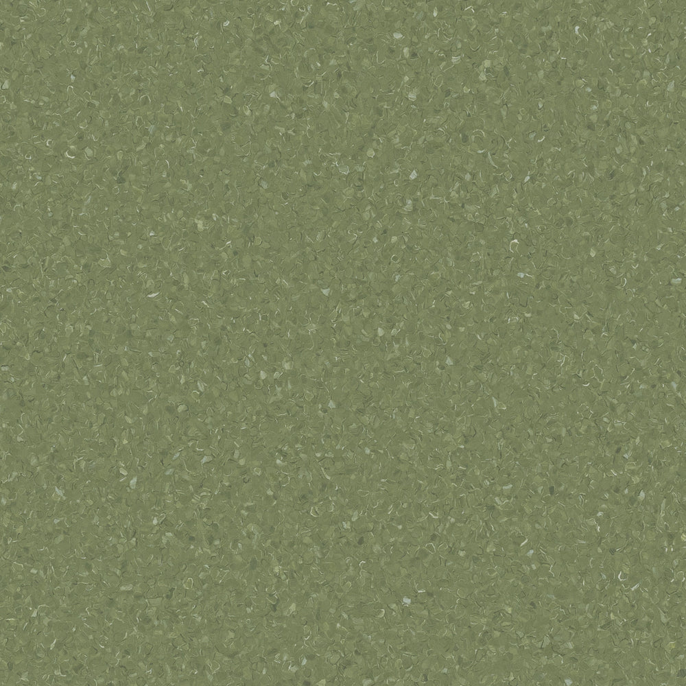 Accolade Plus | Springbrook