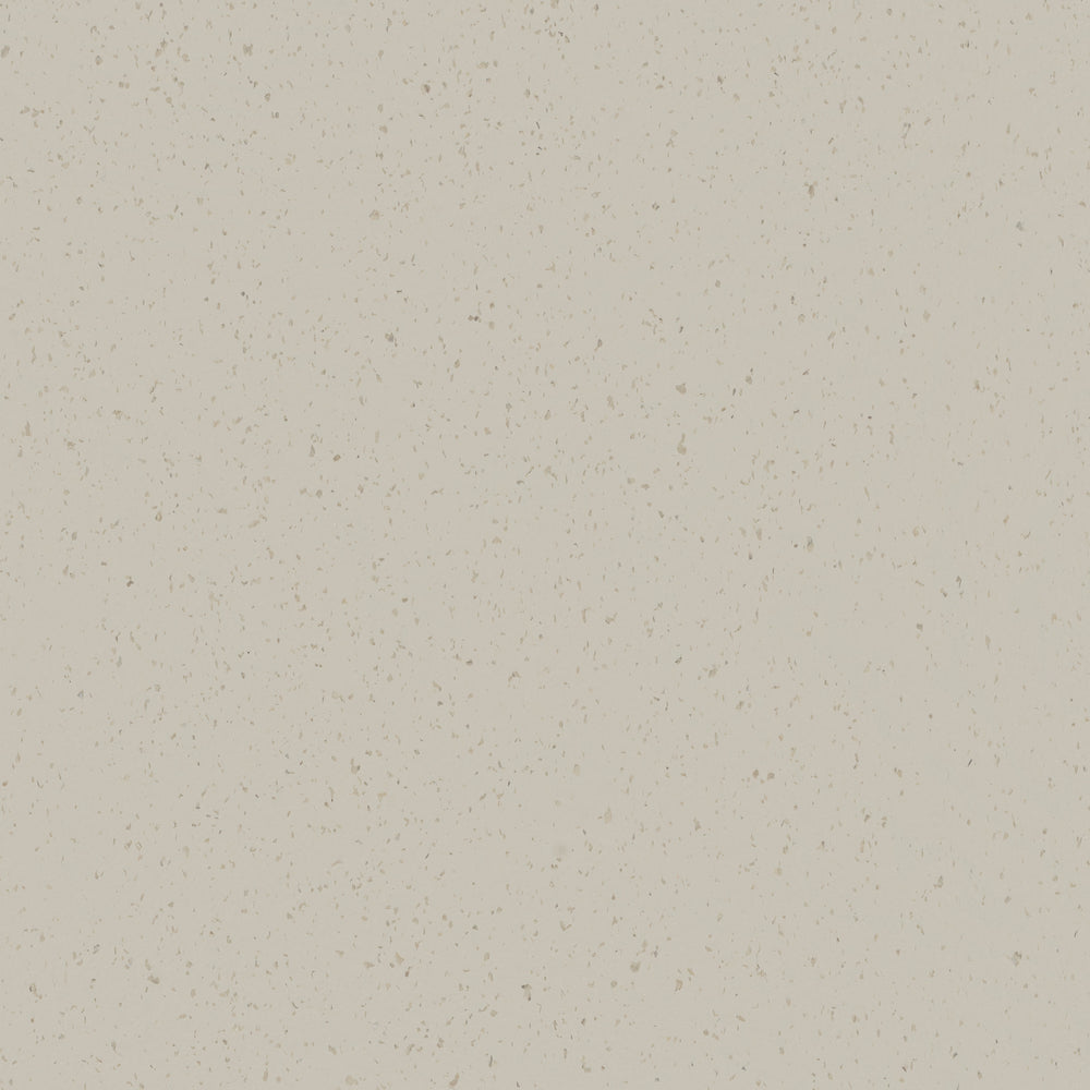 Spectra | Coastal Shell