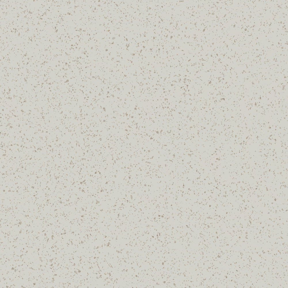 Spectra | Oyster Shell