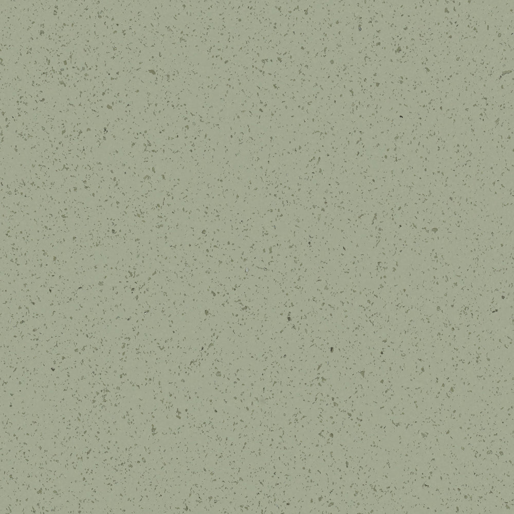 Spectra | Pine Whisper
