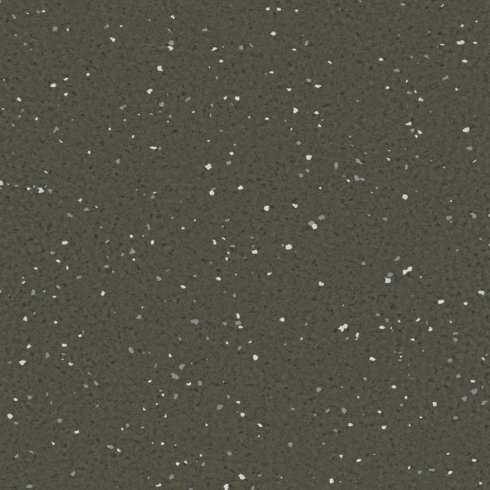 Natralis | Kookaburra