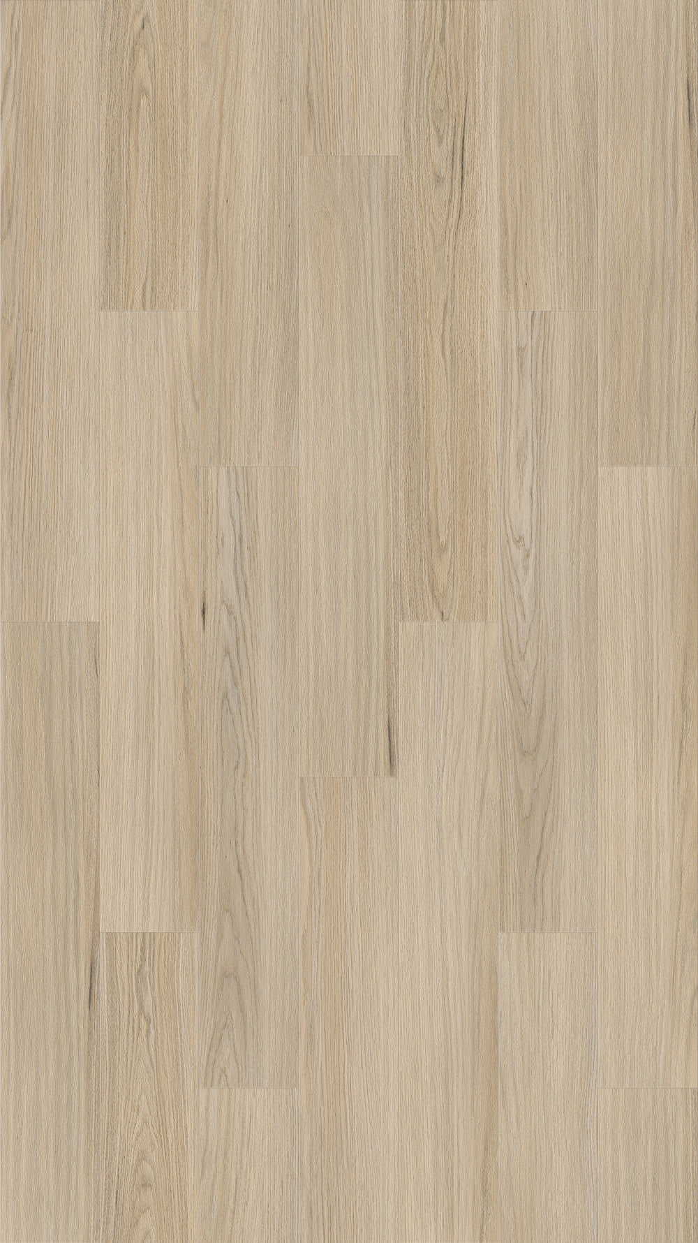 Queenstown 1.2 | Newtown