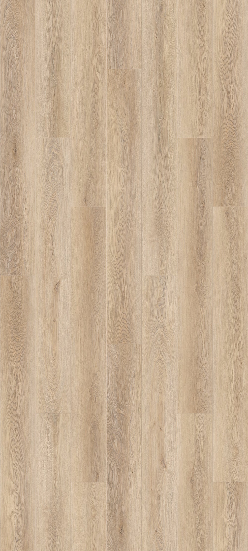 Queenstown 1.5 | Mount Cook