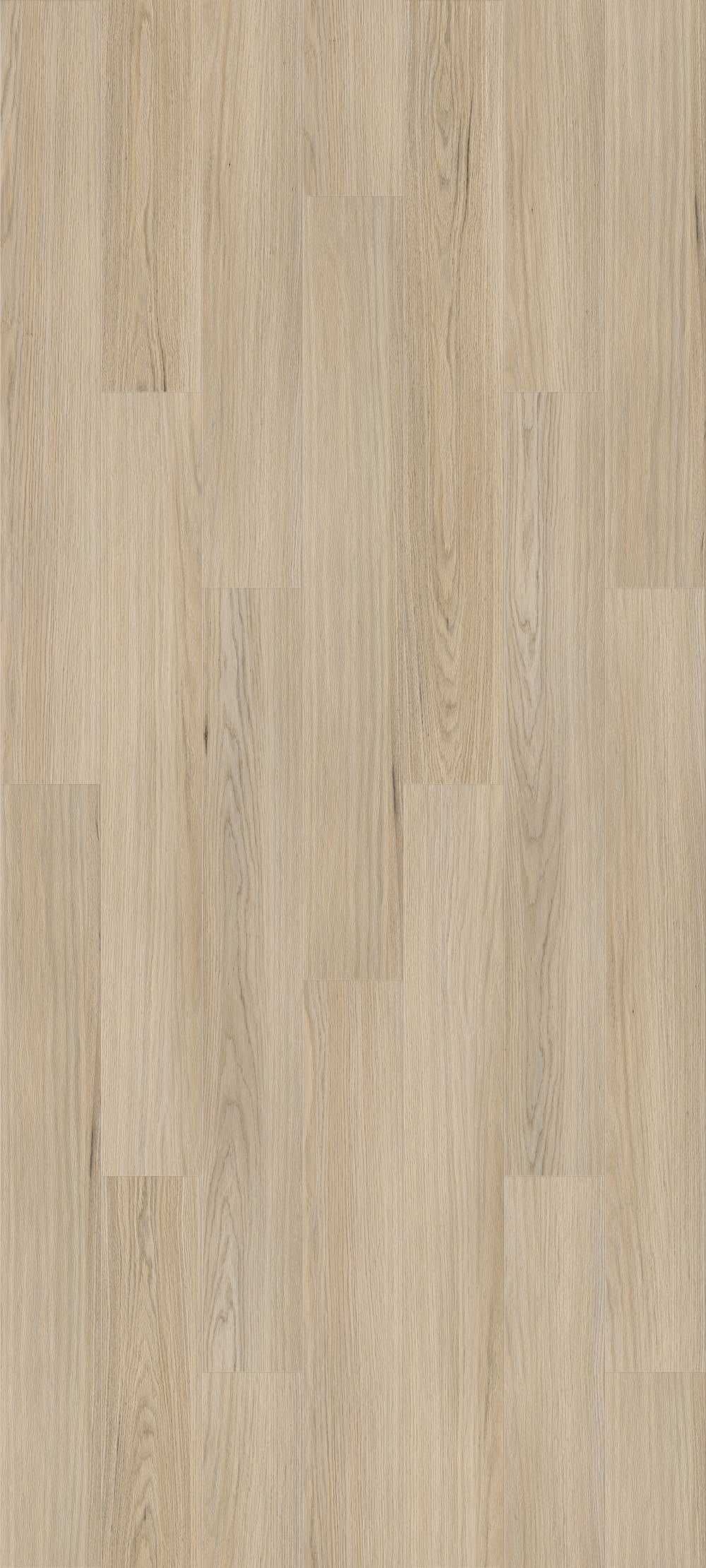 Queenstown 1.5 | Newtown