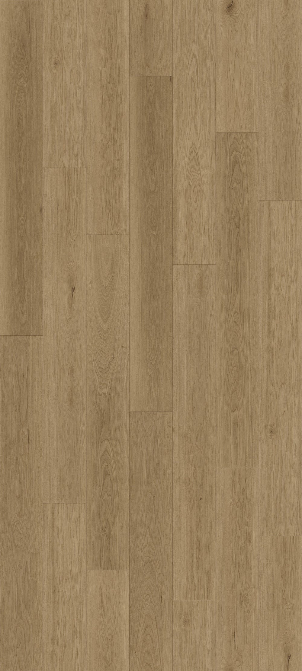 Queenstown 1.5 | Roseneath